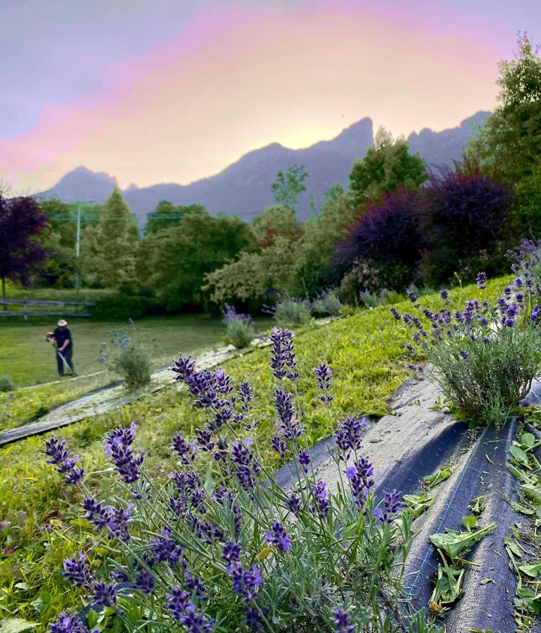 Sospirolo Casa Del Piol Fattoria Dei Fiori 아파트 외부 사진